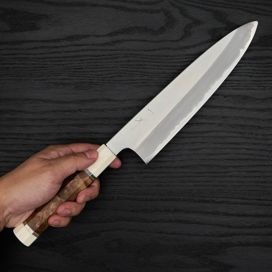 Hitohira Togashi Blue #1 Stainless Clad Gyuto 240mm Golden Camphor Handle