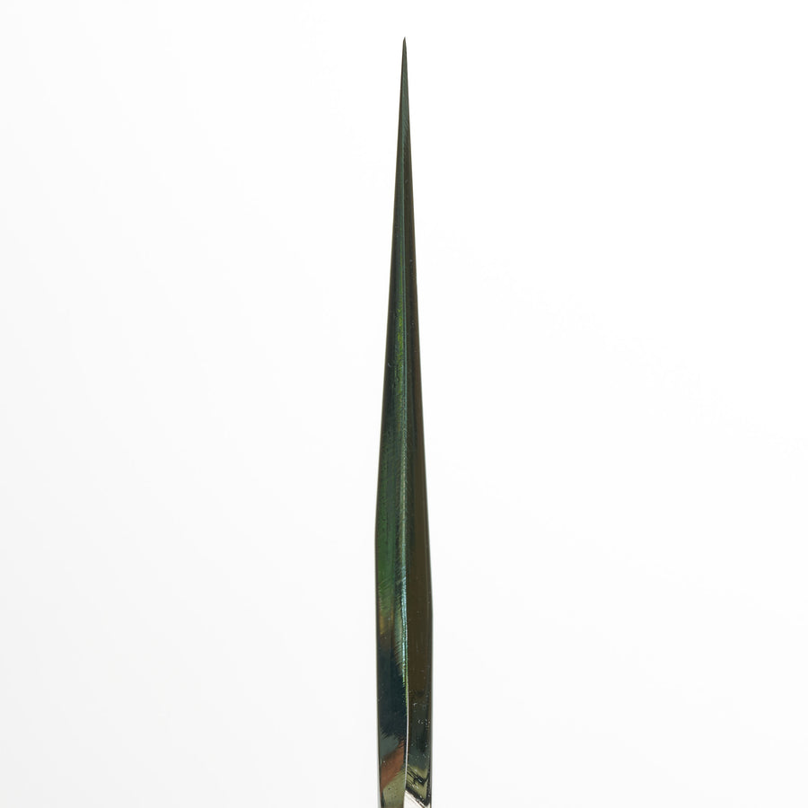 Hitohira Togashi Blue #1 Stainless Clad Migaki Gyuto 210mm Taihei Makassar Ebony Handle